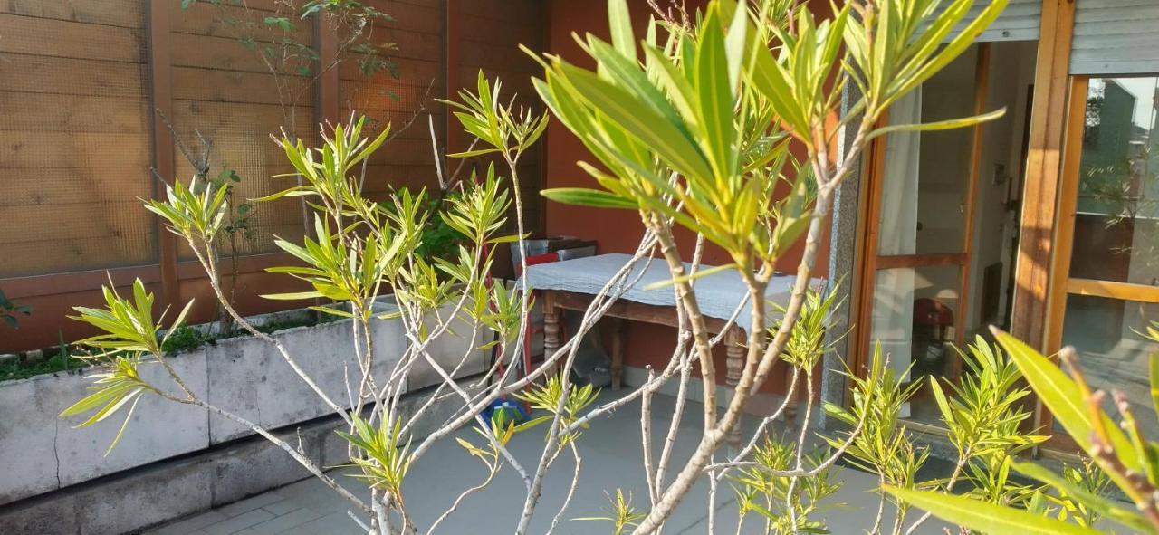 Meraviglioso Super Attico Con Terrazza Mediolan Zewnętrze zdjęcie